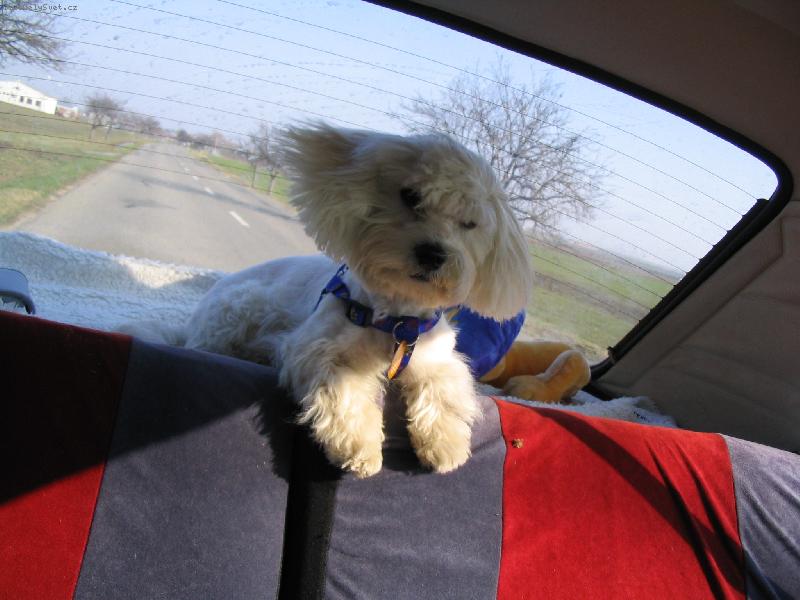 Foto: lacky-prost� po�itek z j�zdy