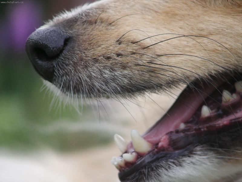 Foto: Keep Smiling-�sm�v pros�m=o)