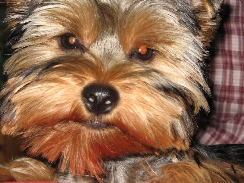 Foto: S�rinka-no, nejsem kr�sn�?