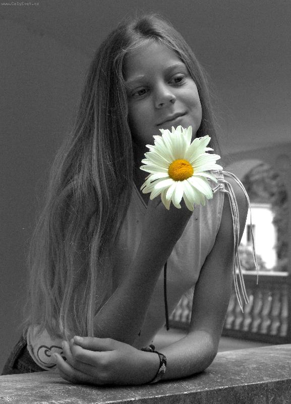 Foto: Kopretina pro z�meckou pan�-Sn�m o sv�m z�mku...