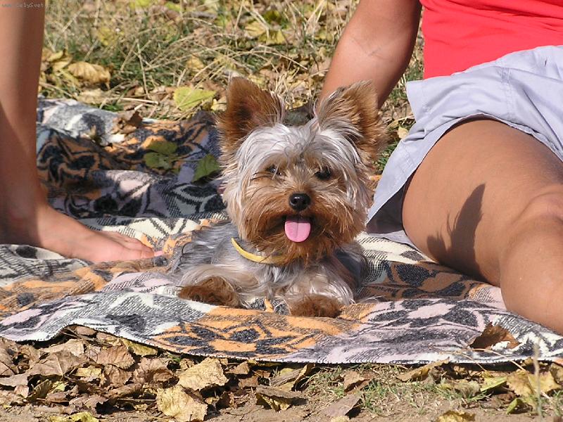 Foto: Betinka R��i�kov�