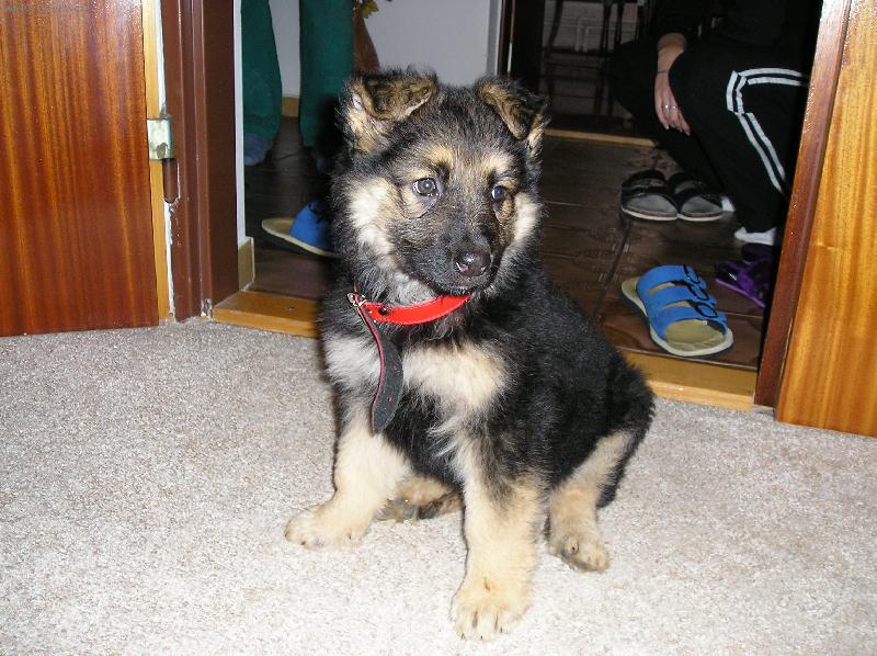 Foto: miminko-miminko