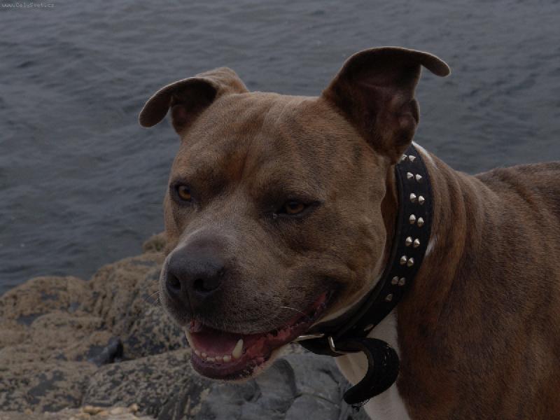 Foto: Bad-na dovolen�