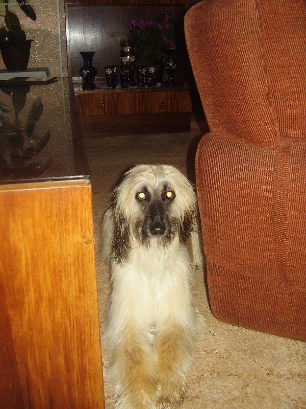 Foto: Kobinka:)-sv�t�m,z���m,...