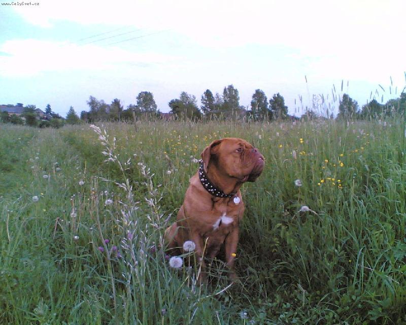 Foto: Fotomodeling v p��rod�