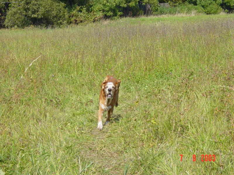 Foto: Let�m k v�m :-)-M�j mil��ek v pln�m nasazen�...