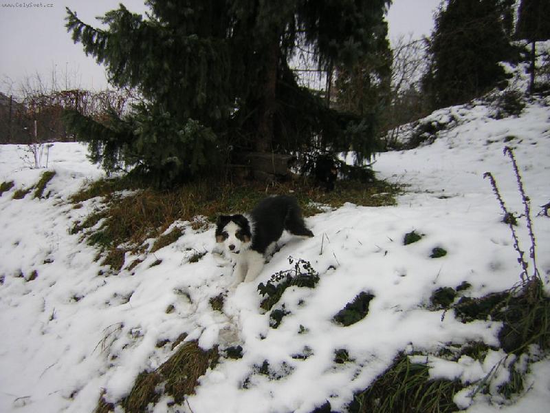 Foto: Kdy� byl Beauty miminko-Venku na proch�zce