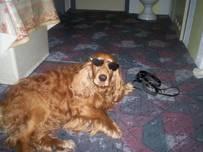 Foto: Ar�i-To je n� drsn� chlap�k!