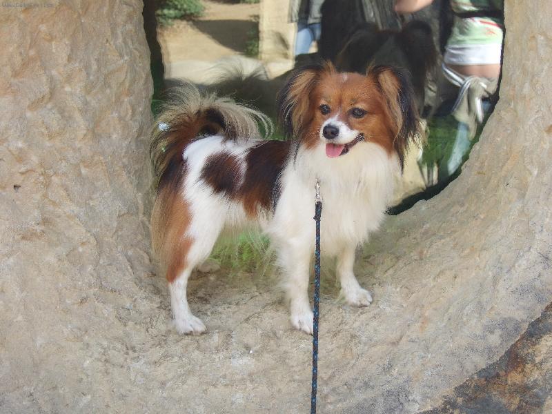 Foto: Bellinka-Bellka vyhl�� ,vyhl��, a� m� kone�n� na�la za hled��kem