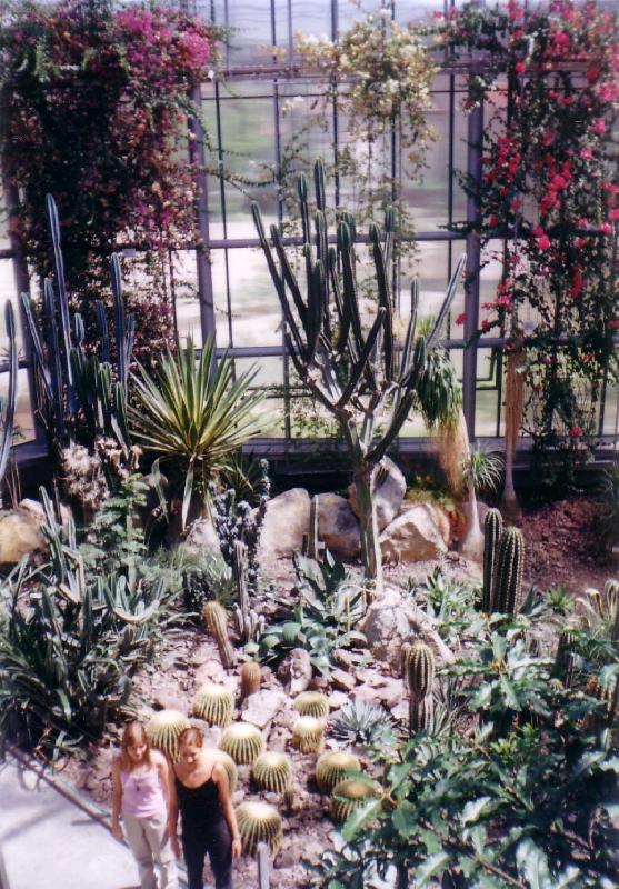 Foto: rostliny Mexika 2