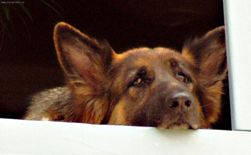 Foto: N�HRADN� VOLNO