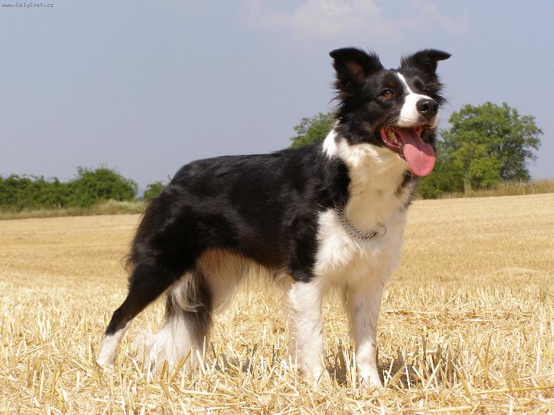 Foto: Tina-Stoj�m takhle spr�vn� pani�ko????