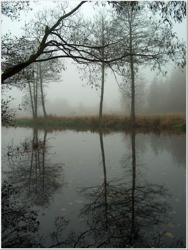 Foto: U �eky Ne��rky