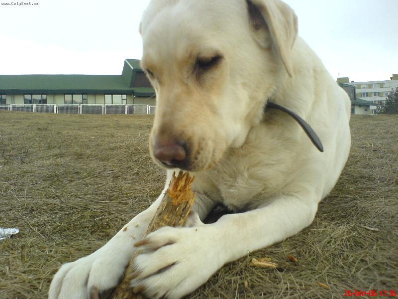 Foto: fene�ka Kettynka :o)