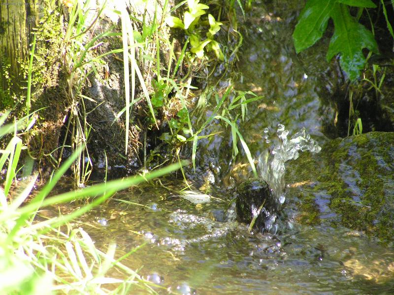 Foto: nezbedn� kapky-bublaj�c� pot��ek