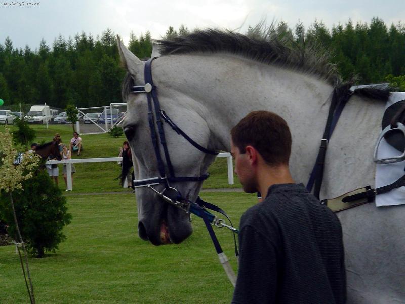 Foto: �arod�j Dobrod�j