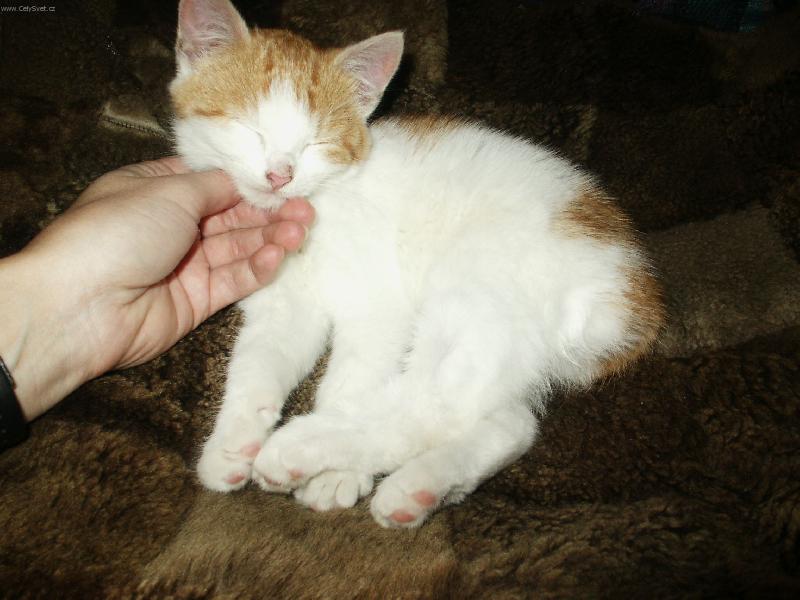 Foto: Drb�n�,to je moje=0)-Tak tohle je Viky..