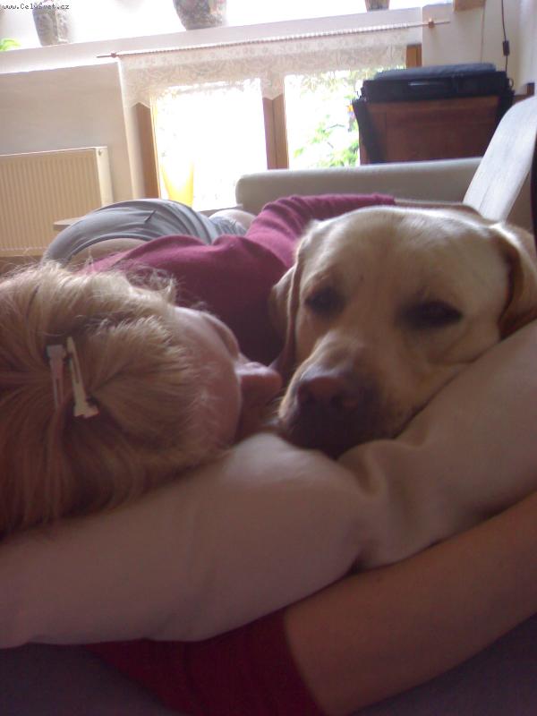 Foto: To je l�ska!-Miluji svoji pani�ku!