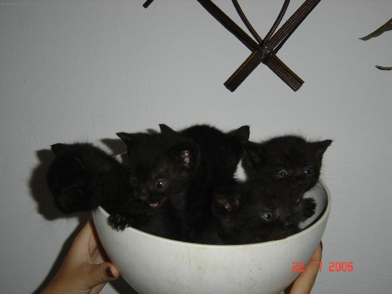 Foto: Spr�vn� p�tka:)