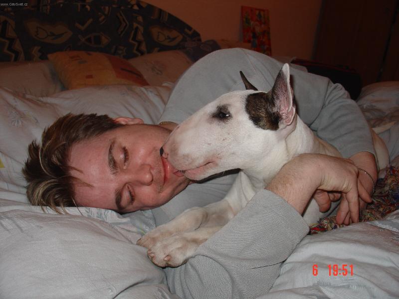 Foto: L�ska-Zamilovan� Ilinka