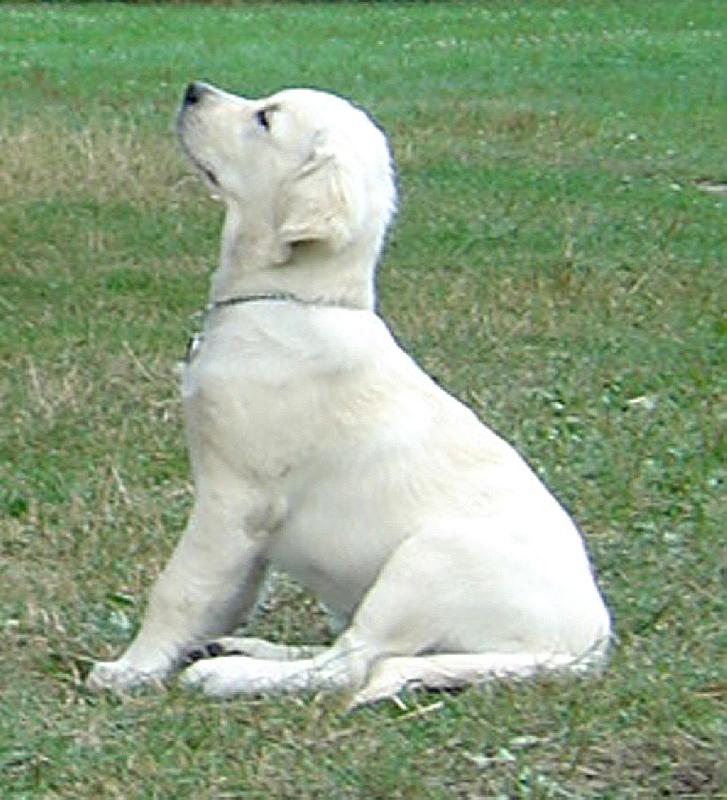 Foto: Bronwyn de Bismill�hi-moje krasavice