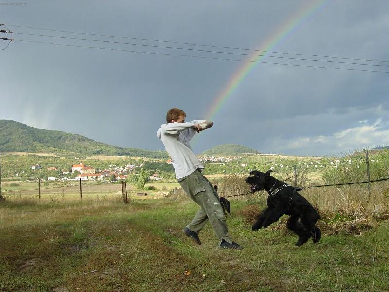 Foto: Po�kej a� se utrhnu!-Kousnu ho nebo ne.