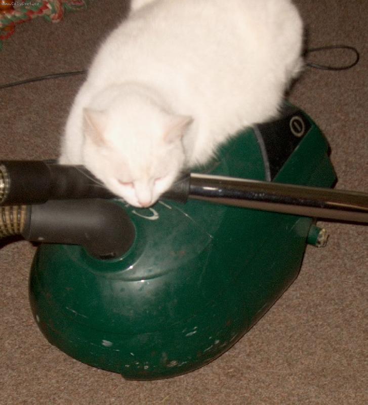 Foto: Odpo�inek-zaslou�en� odpo�inek po pr�ci...