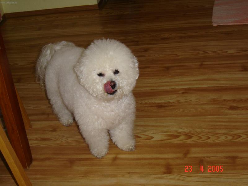 Foto: Arkinka-M�am m�am to byla dobr�tka