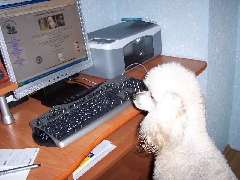 Foto: Dixi-Neru�it! Chatuju na internetu...