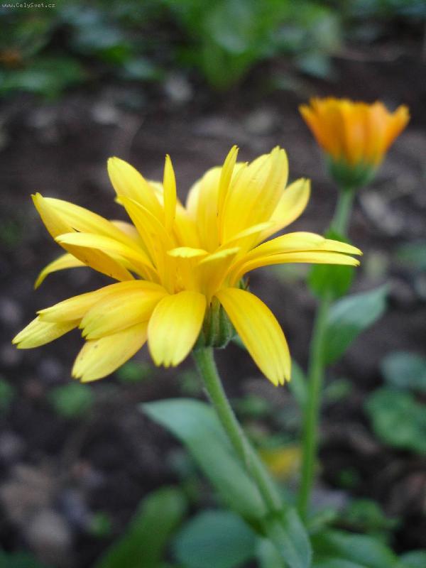 Foto: kyt������