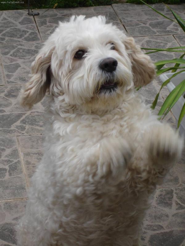 Foto: prosim , prosim ......