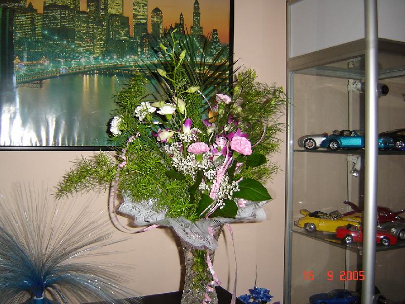 Foto: Orchideje-Kr�sn� d�rek k narozenin�m