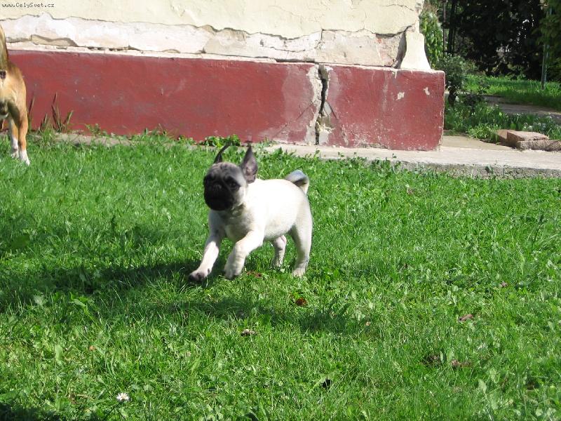 Foto: L�taj�c� Johny:-)