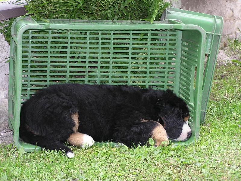 Foto: Tak tady sp�m nejrad�ji.