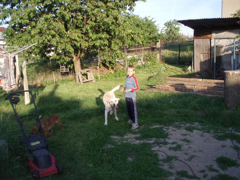 Foto: Sam��ek-:D