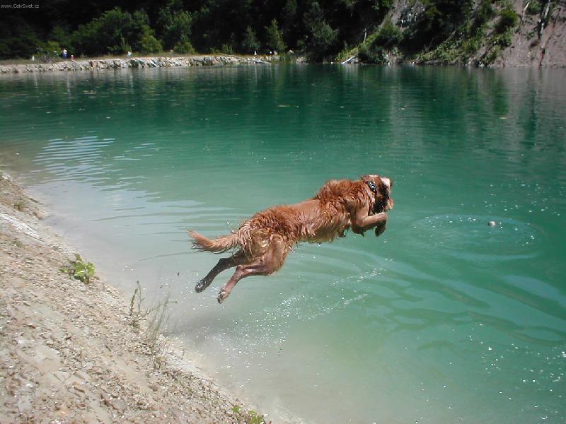 Foto: skok do vody-a jupiiii za mickem