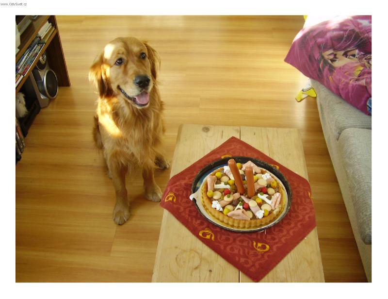 Foto: oslava 2. narozenin-tak takovyhle jsem dostal dort a misto svicek mam 2parecky mnam mnam, ten byl dobrej:)