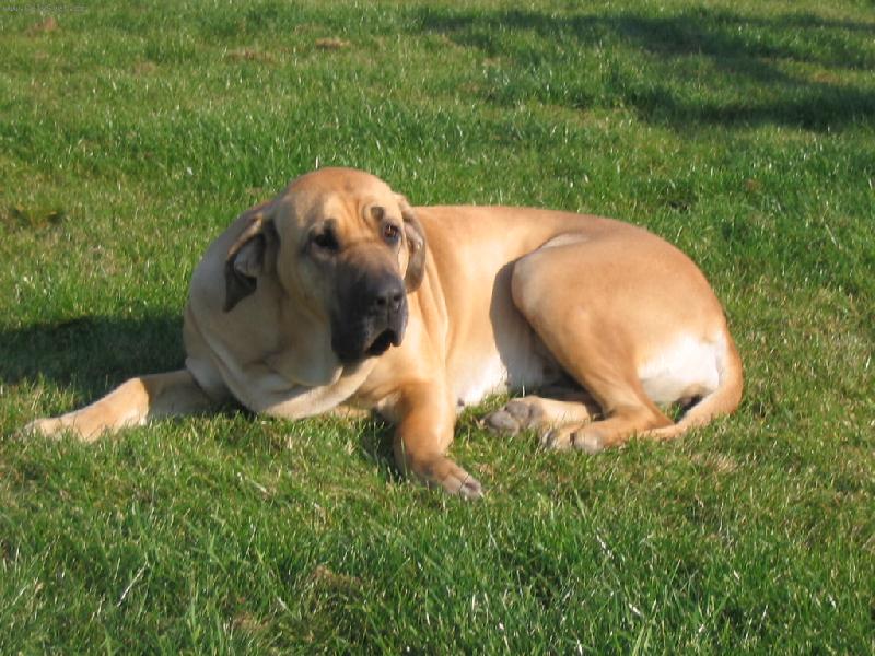 Foto: n� mil��ek Cori-n� mil��ek Cori