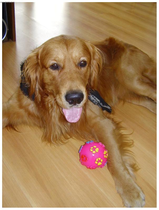 Foto: s balonkem-hele jakou hracku jsem dneska dostal heec