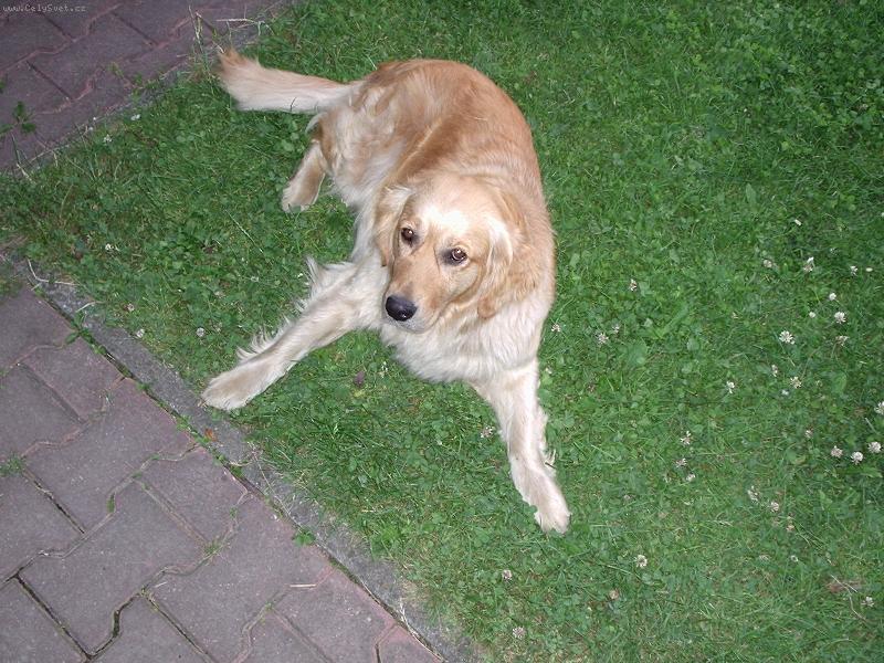 Foto: Viky-Viky se rozkro�ila:-)