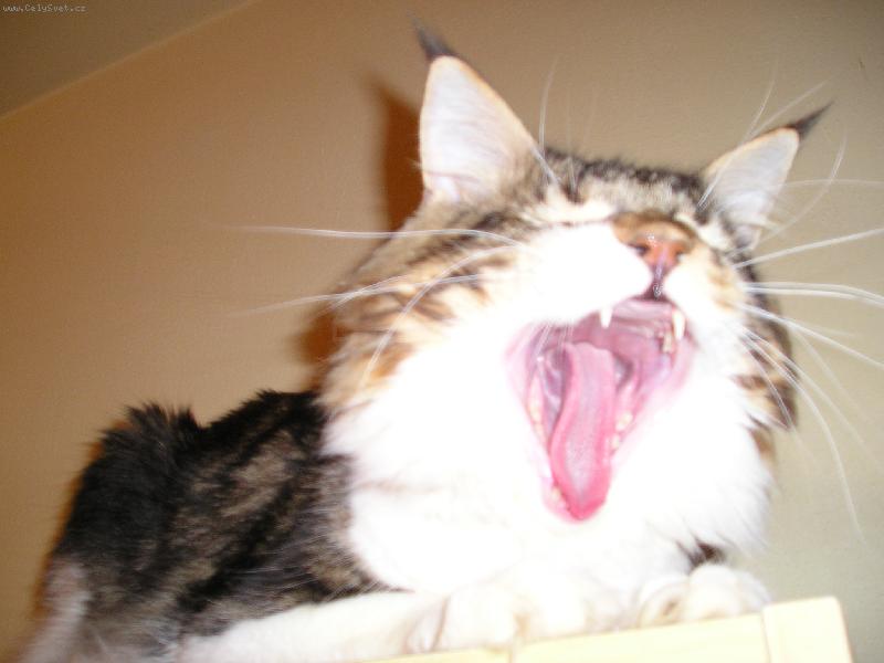 Foto: U����� !!!