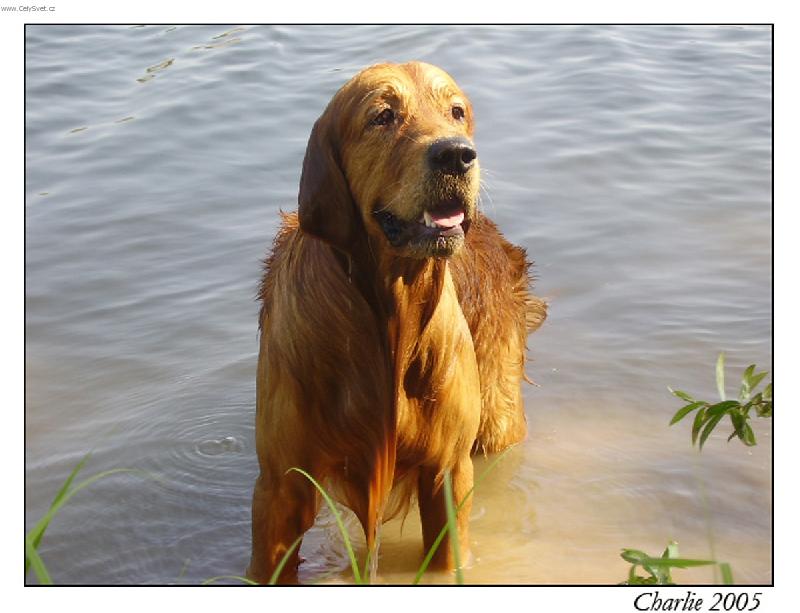 Foto: mokrej-prave jsem se potapel