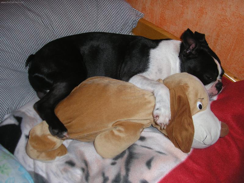 Foto: V� kterej jsem?