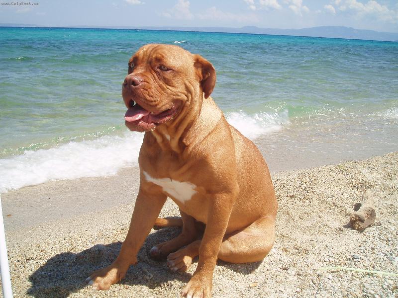 Foto: Samira u mo�e-Samira