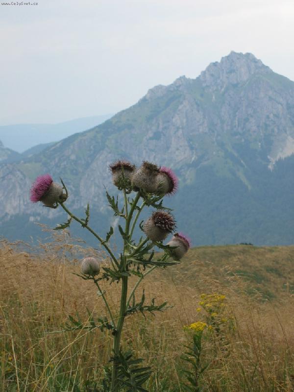 Foto: Kr�sn� vzhled je na ten bo�� sv�t...2-Mal� Fatra