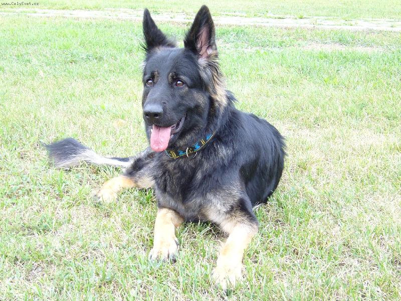 Foto: Ritu�ka-Ritu�ka