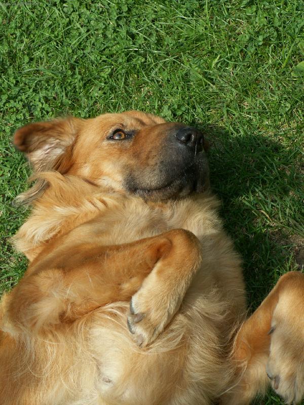 Foto: Nejlep�� p��tel �lov�ka