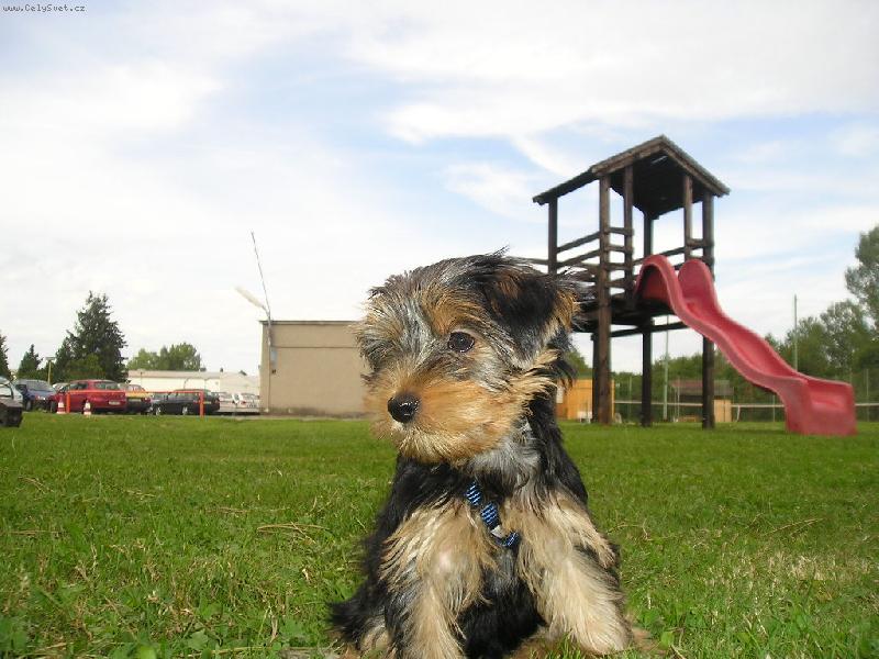 Foto: prvn� den venku