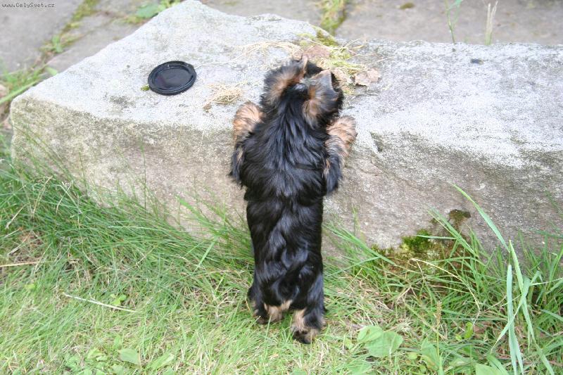 Foto: Lady-ach,ta moje zv�davost