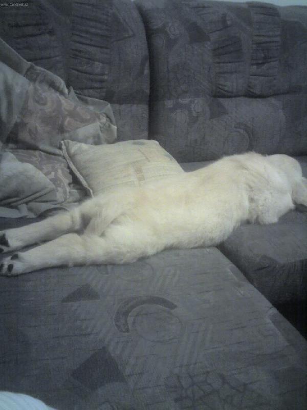 Foto: A uz se nechci fotit...